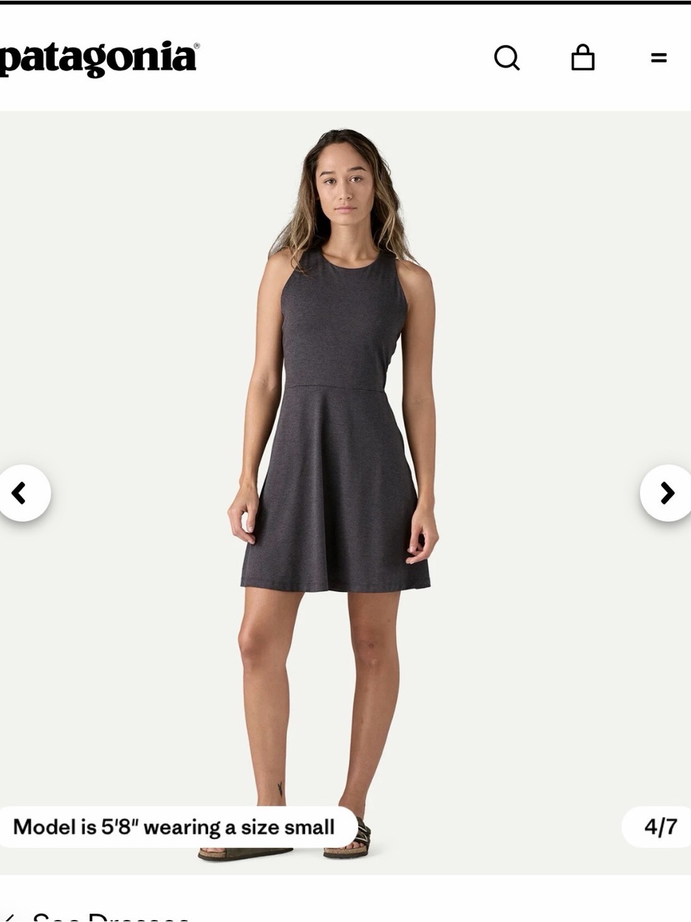Patagonia Women's Seabrook Dress Charcoal Sleeveless Mini Dress